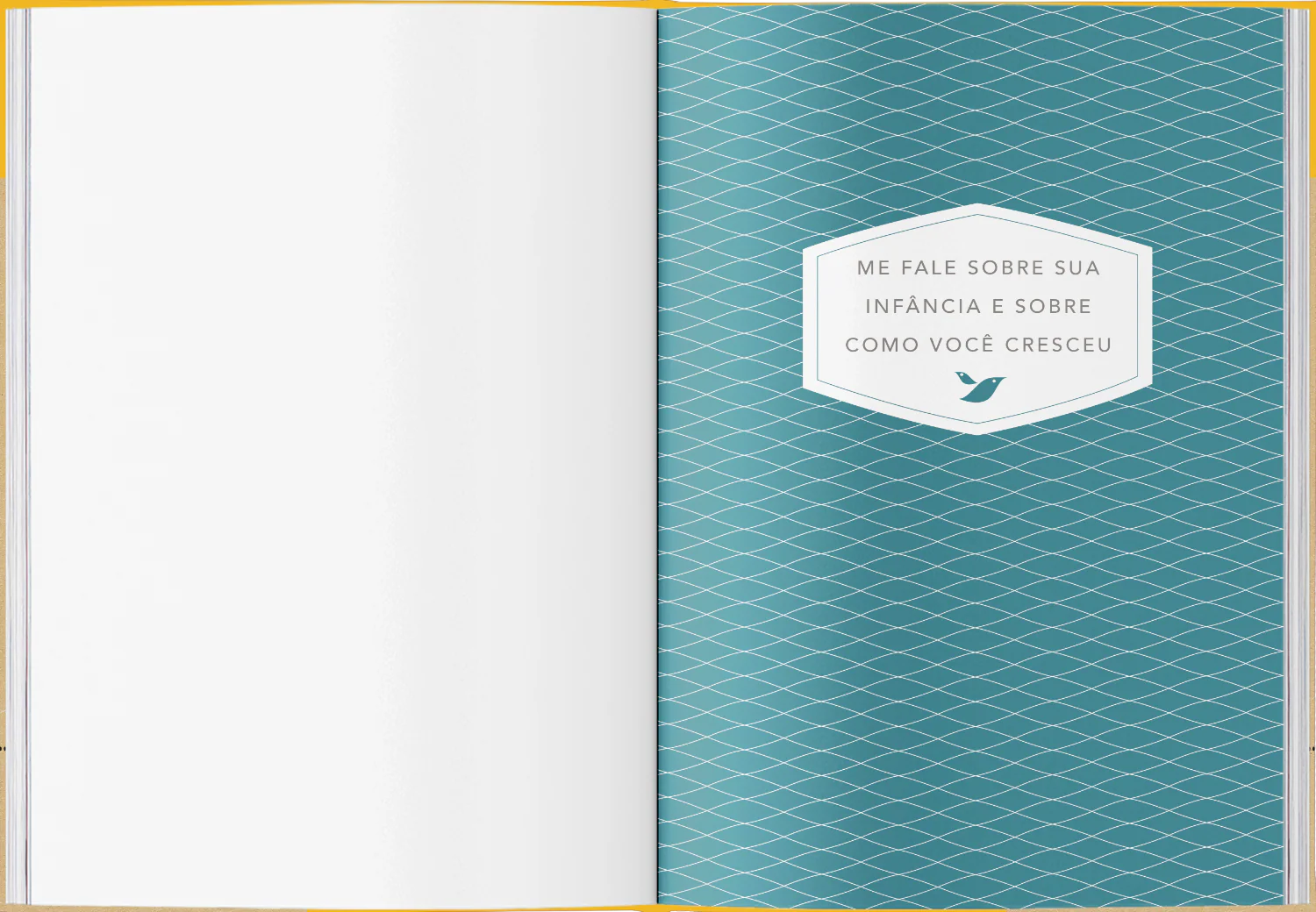 Me Conta a Sua História ?